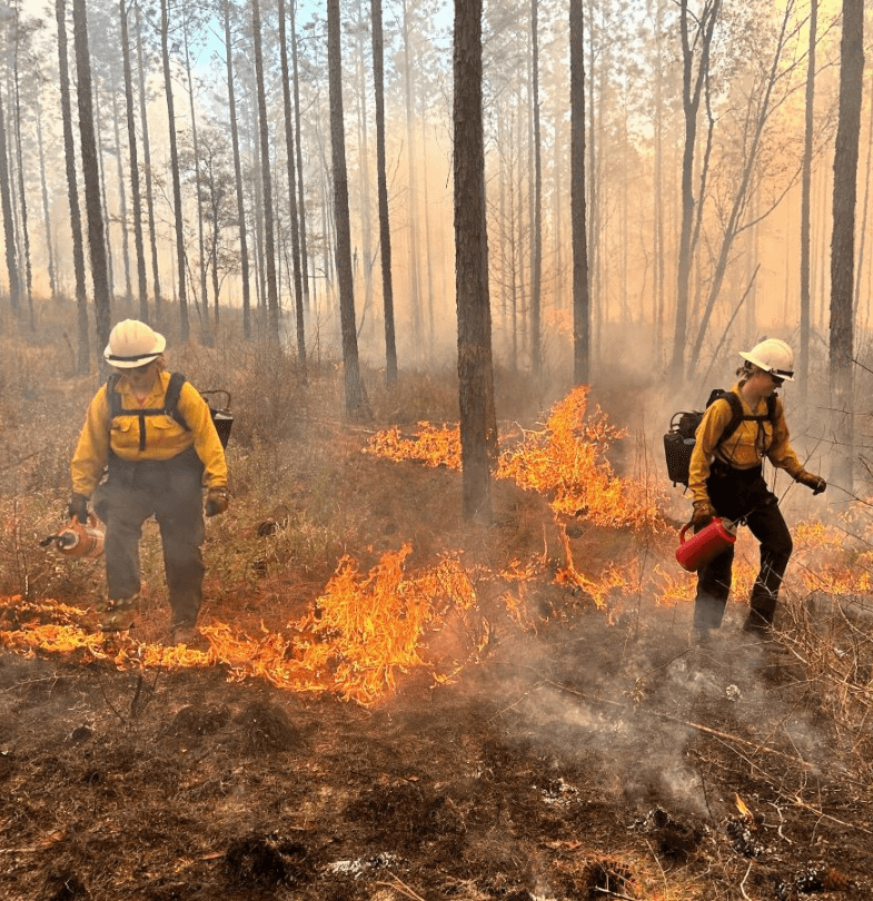 Two SCA crew members conducting prescribed burn